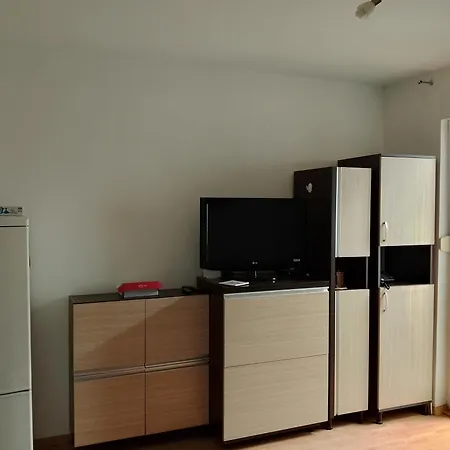 Nela Apartman Banja Koviljaca
