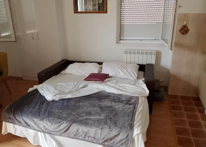 Nela Banja Koviljača